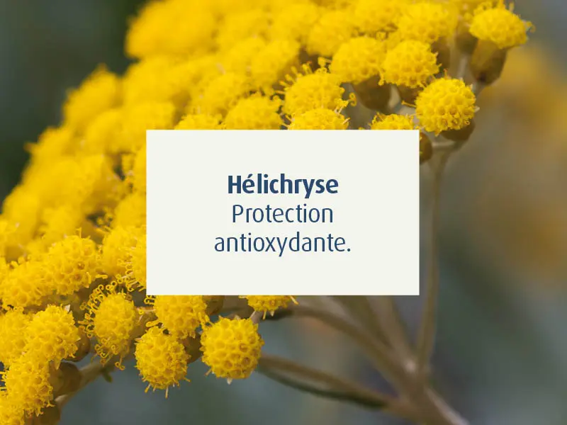 novalcica-cicatrisant-naturel-cicatrice-chirurgie-esthetique-helichryse-anti-hematomes-novalturel