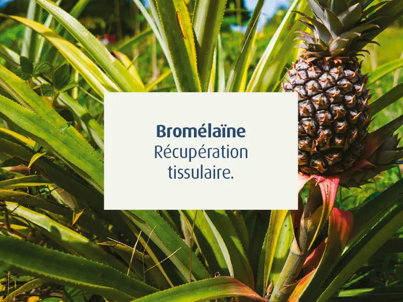 novalcica-cicatrisant-naturel-cicatrice-chirurgie-esthetique-bromelaine-peau-novalturel