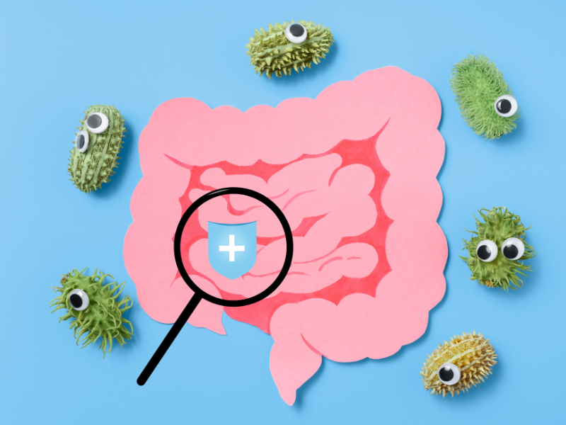 Qu’est-ce que la candidose intestinale ? Qu’est-ce que la candidose intestinale ?