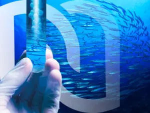 bienfaits-omega-3-effets-sante-meilleur-complement- alimentaire bienfaits-omega-3-effets-sante-meilleur-complement- alimentaire