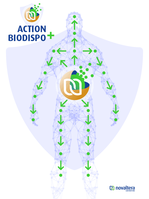 biodisponibilite-principe-actif-curcuma-novaltera-action-biodispo+- innovation biodisponibilite-principe-actif-curcuma-novalturel-action-biodispo+ actifs nouvelle génération