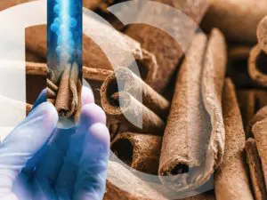 cicatrisant-intestinal-naturel-permeabilite-intestinale-traitement-intestin-poreux-novaltera-cannelle-baton cicatrisant-intestinal-naturel-permeabilite-intestinale-traitement-intestin-poreux-novaltera-cannelle-baton-antioxydant