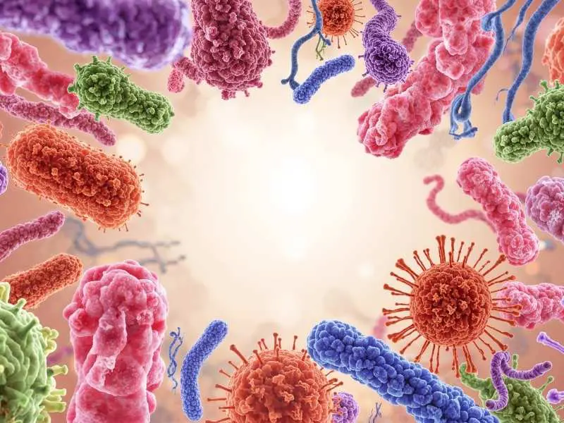 constipation-probiotiques-microbiote-diversifié-novalturel