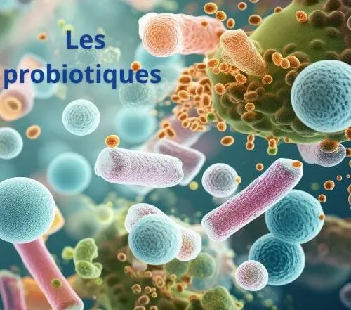 probiotiques cure probiotiques troubles intestinaux