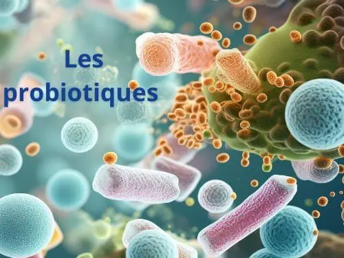 Probiotiques pour la flore intestinale