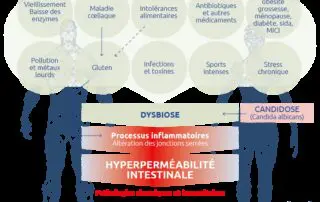 novalturel-permeabilite-intestinale hyperpermeabilite-intestinale-dysbiose