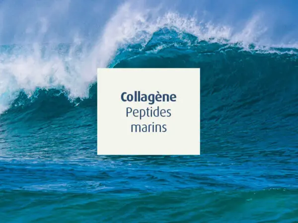 novalcollagen-collagène-peptides marins