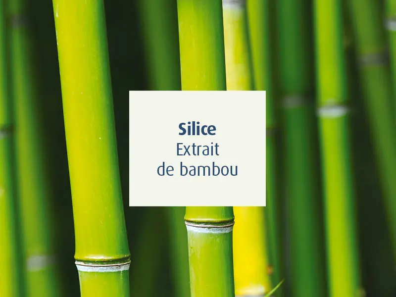 novalcollagen-collagène-peptides marins-silice-bambou
