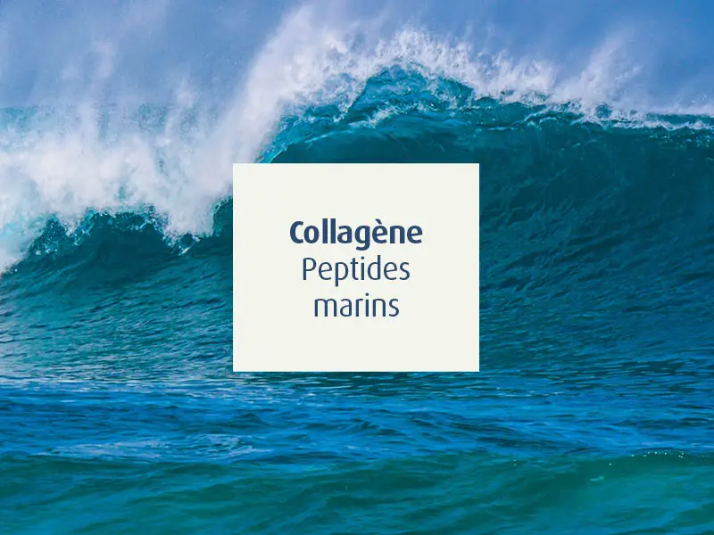 novalcollagen-collagène-peptides marins