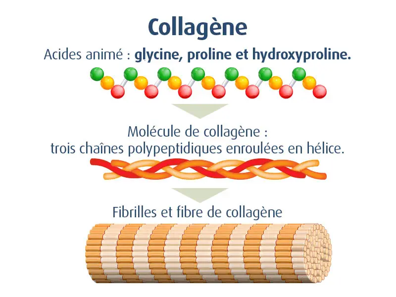 novalcollagen-compléments alimentaires collagène articulation