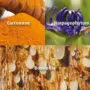 novalfen-antalgique-anti-inflammatoire-naturel-harpagophytum-curcumine-boswellia-novalturel novalflen-antalgique-anti-inflammatoire-naturel-harpagophytum-curcumine-boswellia-novalturel