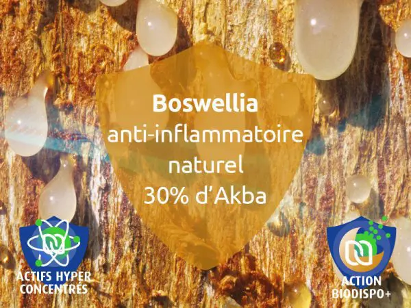 novalfen-anti-douleur-antalgique-anti-inflammatoire-articulations-maux-tete-boswellia
