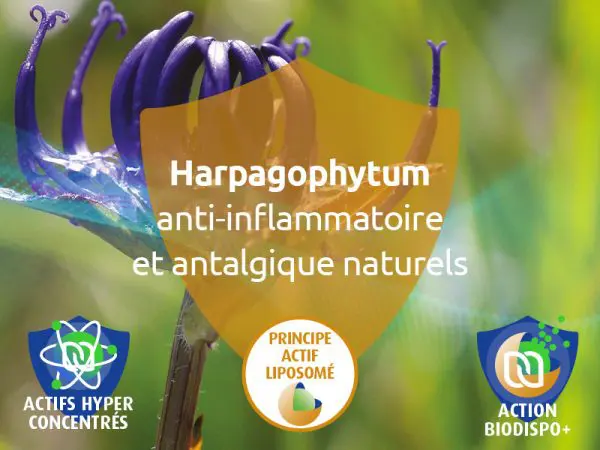 novalfen-anti-douleur-antalgique-anti-inflammatoire-articulations-maux-tete-harpagophtytum