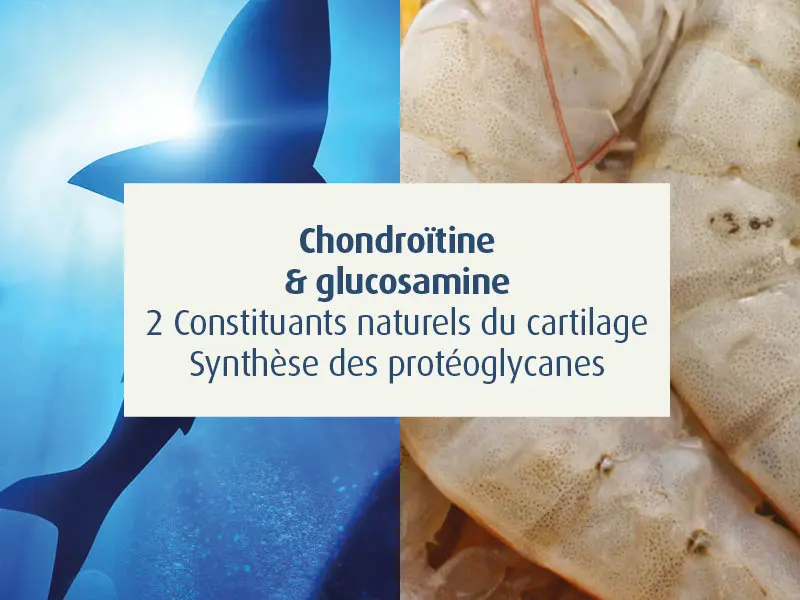 novalflex-compléments alimentaires articulations sportifs - novalturel - chodroïtine-glucosamine
