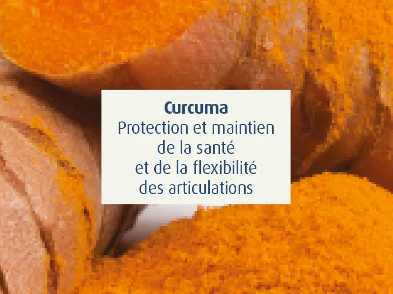 novalflex-compléments alimentaires articulations sportifs - novalturel - curcuma