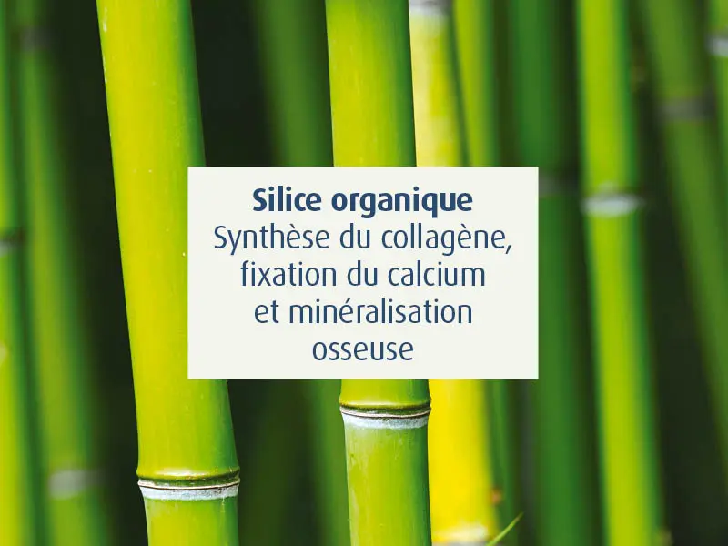 novalflex-compléments alimentaires articulations sportifs - novalturel - silice
