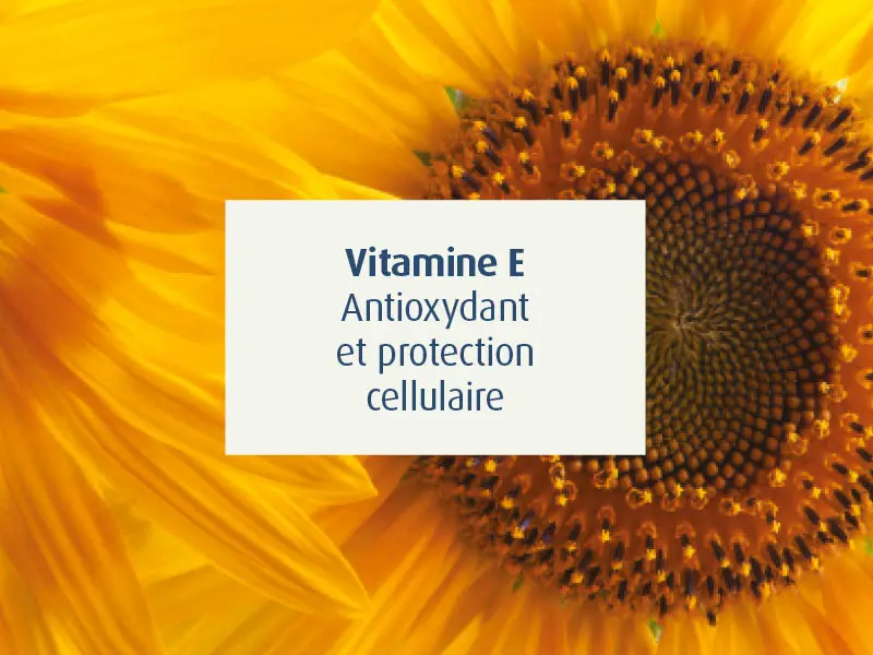 novalflex-compléments alimentaires articulations sportifs - novalturel - vitaline E