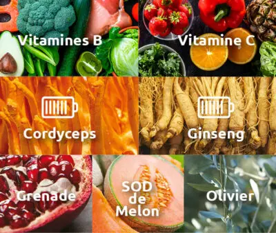 novalform - vitamlines B & C - ginseng - grenade - SOD melon - cordyceps - vitalité, anti-fatigue -Novalturel