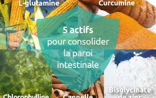 novaltera-novalgut-permeabilite-intestinale-traitement-naturel-5-actifs