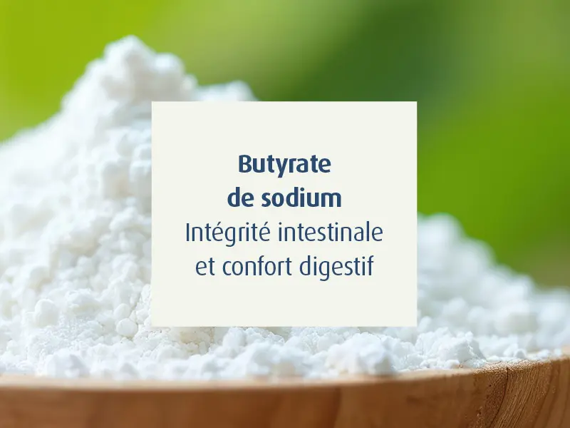 novalgut-sante-muqueuse-intestinale-novalturel-butyrate-sodium-confort-digestif novalgut-sante-muqueuse-intestinale-novalturel-butyrate-sodium-confort-digestif