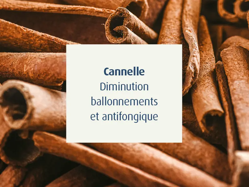 novalgut-sante-muqueuse-intestinale-novalturel-cannelle-ballonements-anitfongique