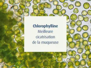 novalgut-sante-muqueuse-intestinale-novalturel-chlorrophylline-cicatrisation-muqueuse-intestinale
