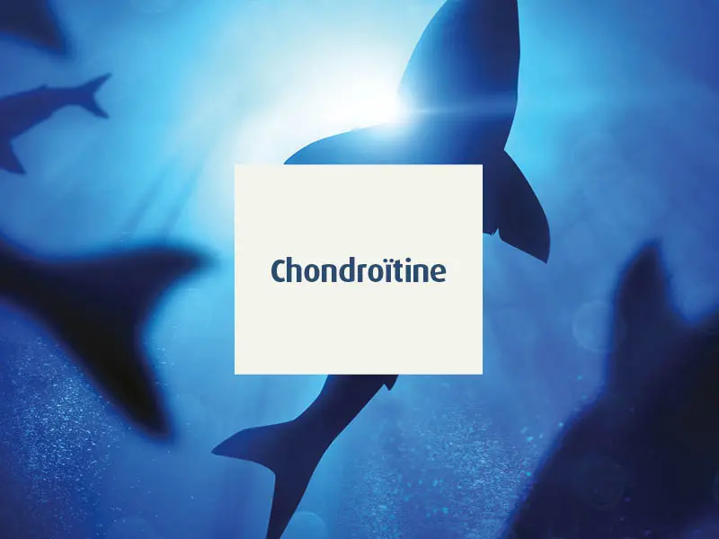 novalosteo-compléments alimentaires articulations séniors - chondroïtine - novalturel