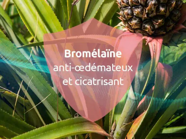 novaltera-cicatrisant-naturel-cicatrice-chirurgie-esthetique-bromelaine-peau