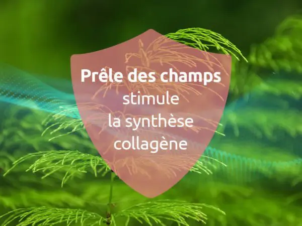 novaltera-cicatrisant-naturel-cicatrice-chirurgie-esthetique-prele-champs-peau