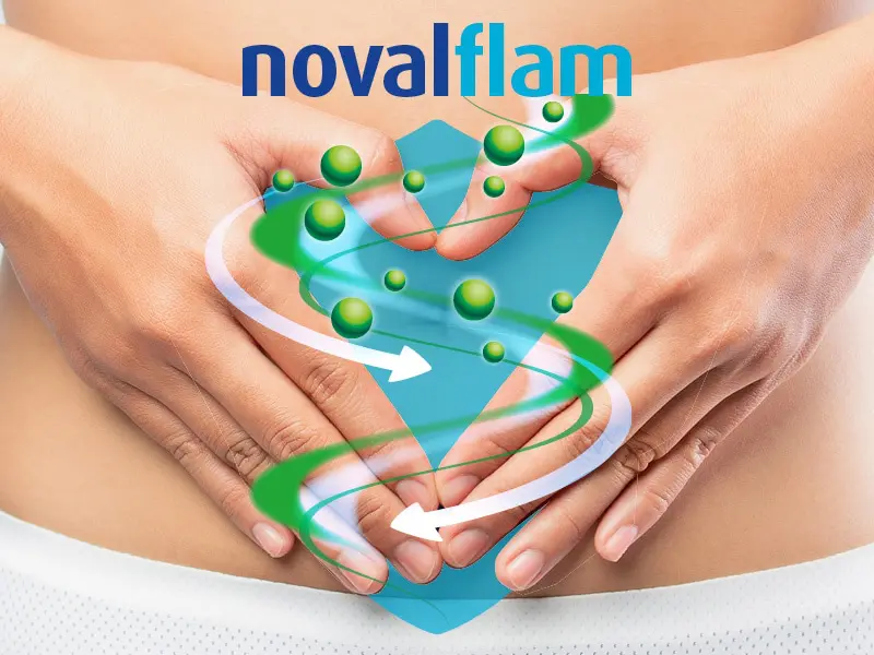 novalflam 7 enzymes digestives dont la lactase pour soutenir la digestion1 du lactose. Novalturel