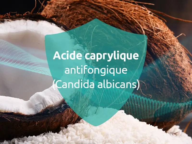 acide caprylique antifongique candida albicans