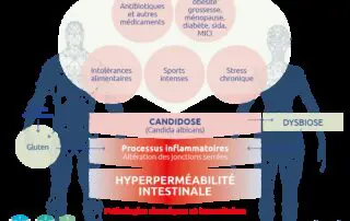 novalturel-permeabilite-hyperpermeabilite-intestinale-candidose intestinale