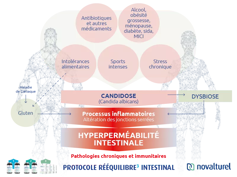 novalturel-permeabilite-hyperpermeabilite-intestinale-candidose intestinale