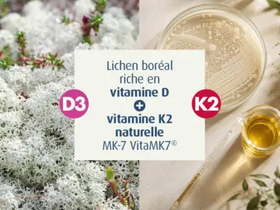 novalvita-vitamine-D3 végétale liposomée -systeme-immunitaire-santé des os