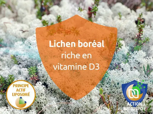 novalvita-vitamine-D3 végétale liposomée -systeme-immunitaire-santé des os