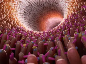permeabilite-intestinale-hyperpermeabilite-novaltera-traitement-naturel-microbiote-microbiotique perméabilité-intestinale-hyperperméabilité-novaltera-traitement-naturel-microbiote-microbiotique dysbiose probiotique