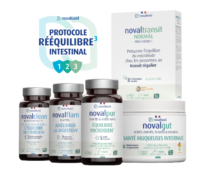 protocole-reequilbre-intestinal-3-phases-novalturel