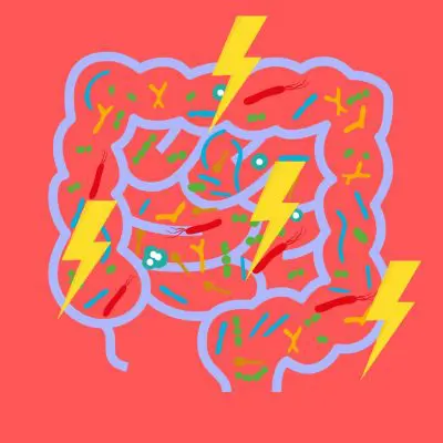 troubles intestinaux digestifs perméabilité intestinale intestin irritable acide caprylique