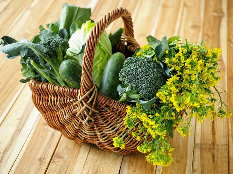 vitamines b9 bienfaits – novalzen-novalturel vitamines b9 bienfaits - novalzen - novalturel