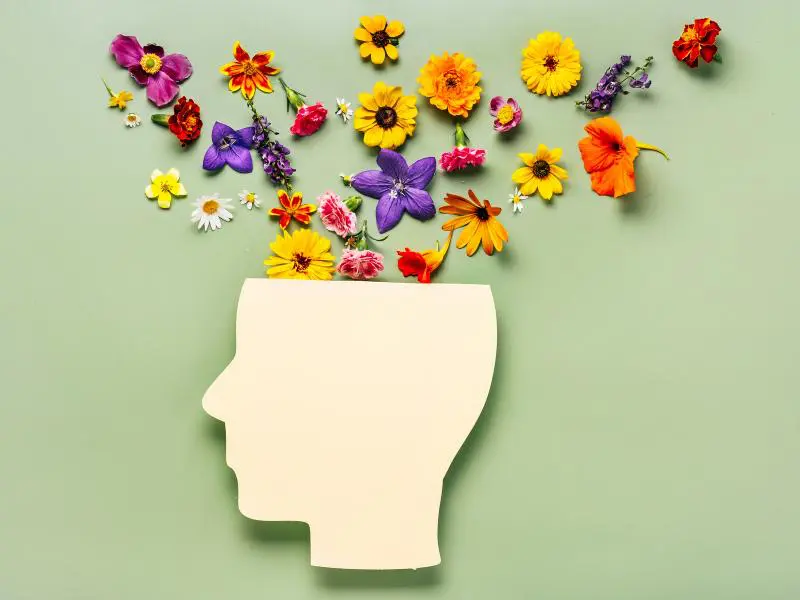 vitamines-b9-bienfaits-soutien-systeme-immunitaire-novalzen-novalturel-1 vitamines b9 bienfaits - soutien systeme immunitaire - novalzen-novalturel