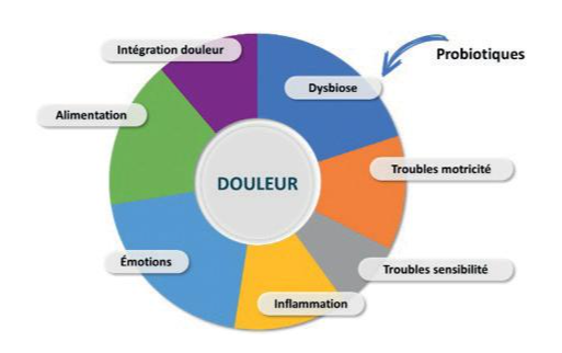 a colopathie fonctionnelle - novalturel