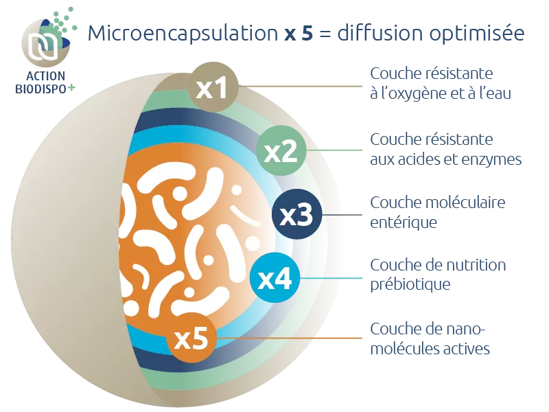 microencapsulation-5-fois-novalturel