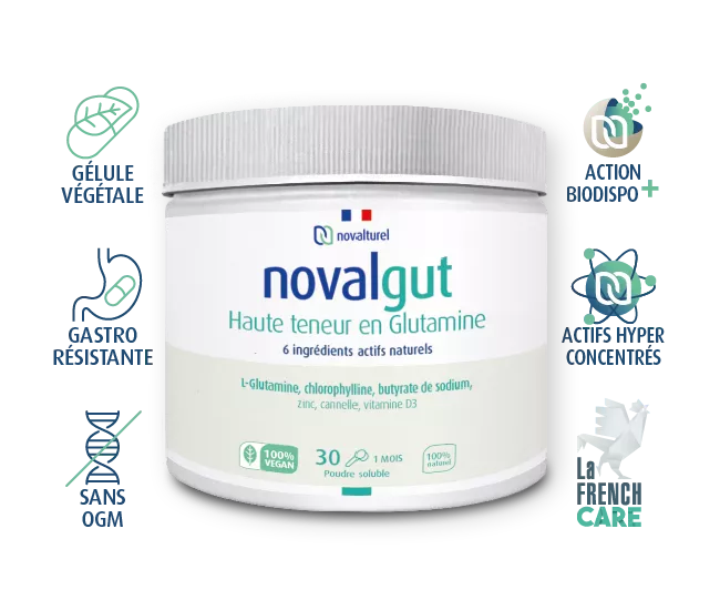 novalgut-cicatrisant-intestinal-naturel-permeabilite-glutamine-intestin