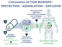 biodisponibilite-principe-actif-curcuma-novaltera-action-biodispo+-glucosamine-chondroitine-6