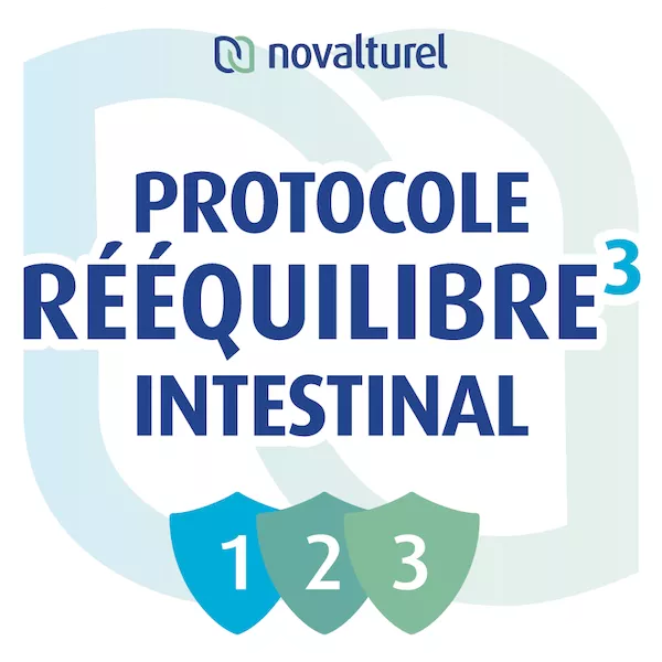 trouble intestinal troubles digestifs intestinaux protocole rééquilibre intestinal-permeabilite-microbiote