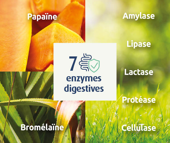 novalflam - 7 enzymes digestives dont la lactase pour soutenir la digestion1 du lactose - Novalturel