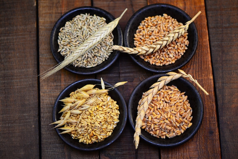 Novalturel - Intolérance au gluten - Protocole reequilibre intestinal
