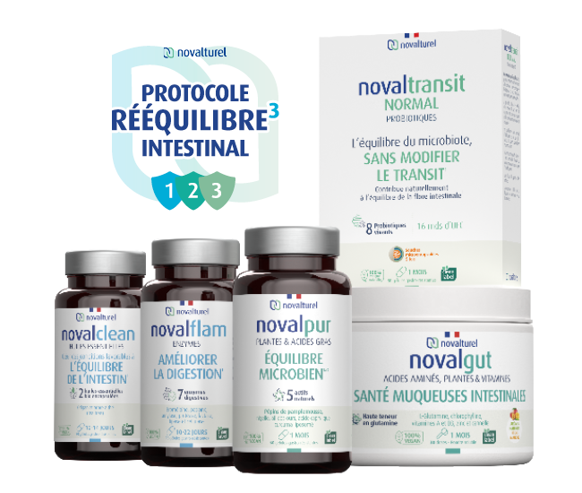 Quels sont les actifs de la cure intestinale contre la dysbiose et la perméabilité intestinale ?