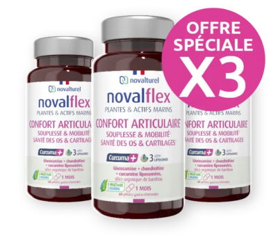 novalflex