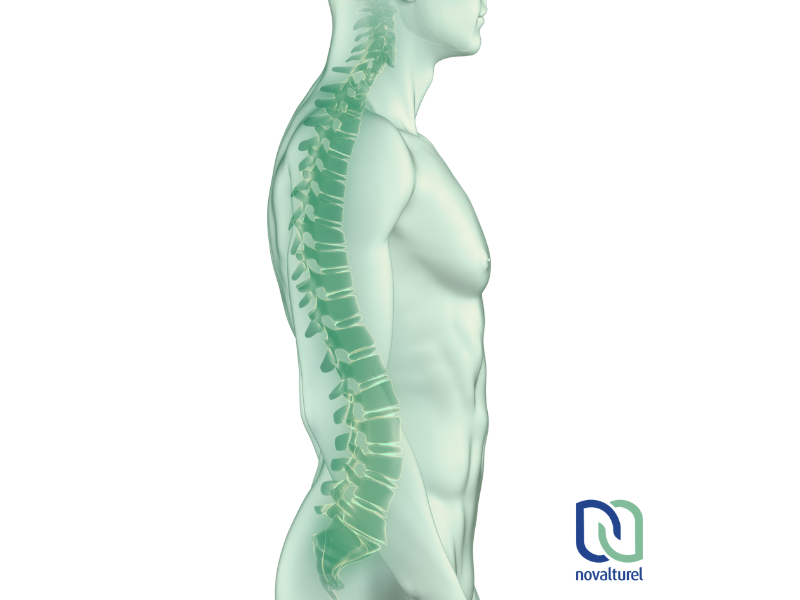 déverrouillage matinal arthrose Novalturel